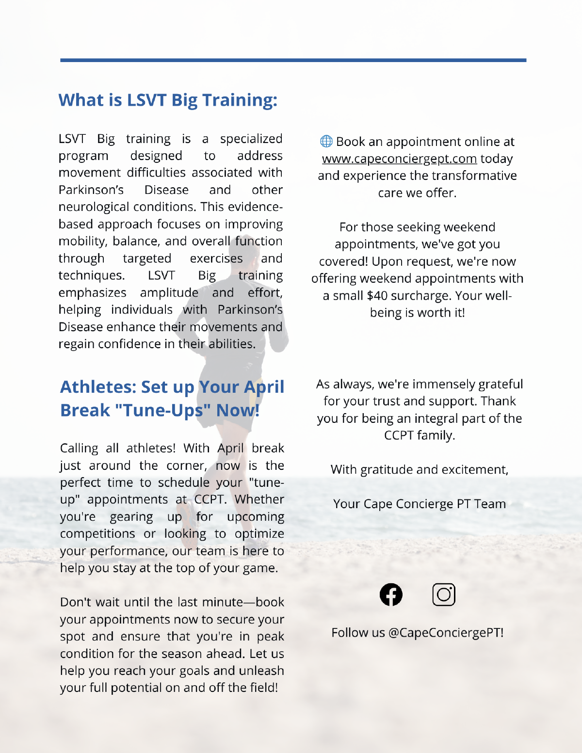 What is LSVT Big Training: